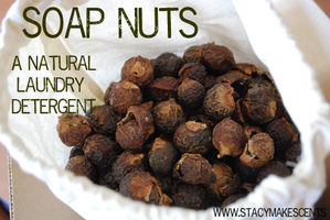 Laundry soap nuts