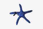 Rope Starfish Dog Toy