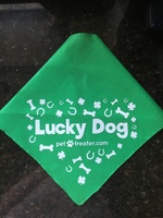 Lucky Dog bandana
